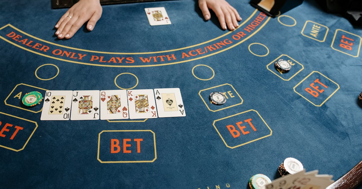 Raxcasino Canlı Bahis